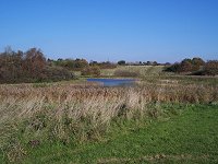 rastepladsen 'Lille Mallorca'