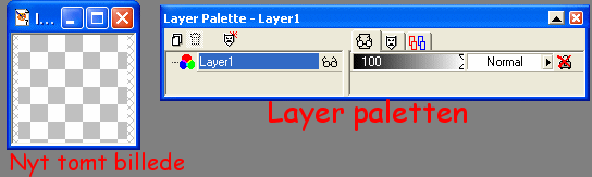 Nyt tomt billede og Layer paletten til højre